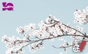 ARABAKI ROCK FEST.11. 2011年4月29日(金・祝)・30日(土)