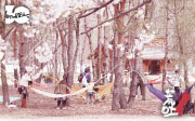 ARABAKI ROCK FEST.11. 2011年4月29日(金・祝)・30日(土)